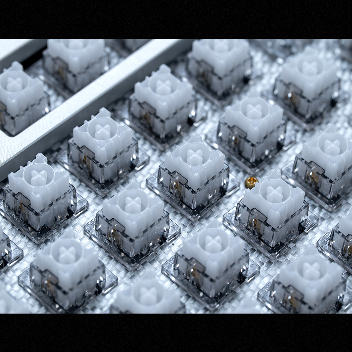 مفتاح ماجليف ماجيك ليف ماركة م - مراجعة Gaming Keyboard Magnetic Switches وسعره